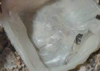 Estudantes criam sacola biodegradável que se torna adubo