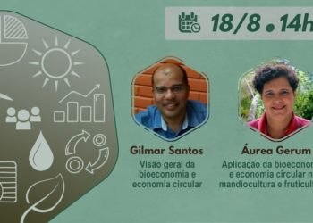 Bioeconomia e economia circular na mandiocultura e fruticultura