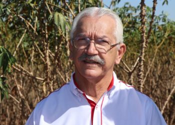 SBM vai realizar minicursos durante o Congresso Brasileiro de Mandioca