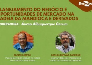 Webinar tratará de Planejamento do negócio e oportunidades de mercado