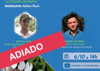 Webinar sobre variedade BRS Novo Horizonte foi adiado