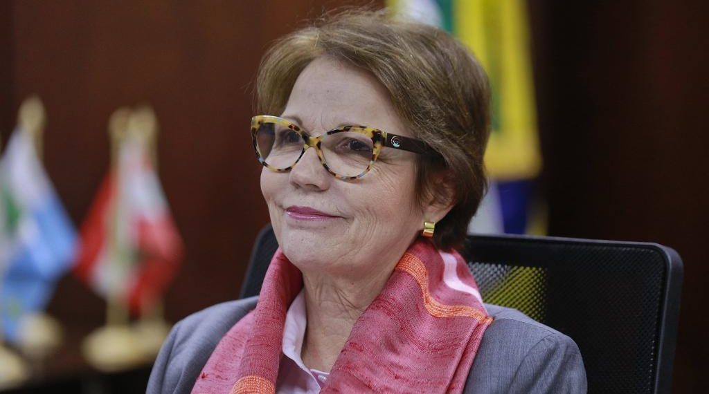 Tereza Cristina deve participar da abertura do XVIII Congresso Brasileiro de Mandioca