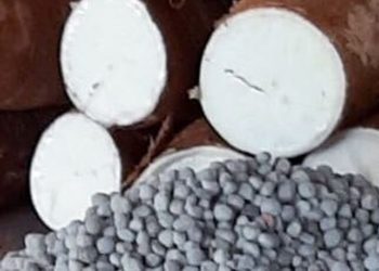 Como o Agro Mandioca articulou a adubação fosfatada para o Arenito Caiuá