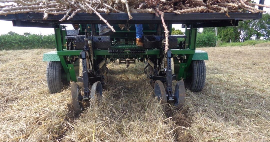 Manejo sustentável de solo e água nas mudanças climática será tema de painel