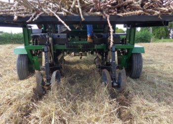 Manejo sustentável de solo e água nas mudanças climática será tema de painel