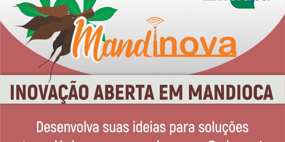 Sai o resultado de edital sobre mandioca