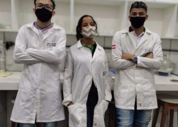 Estudantes desenvolvem inseticida a partir da folha da mandioca