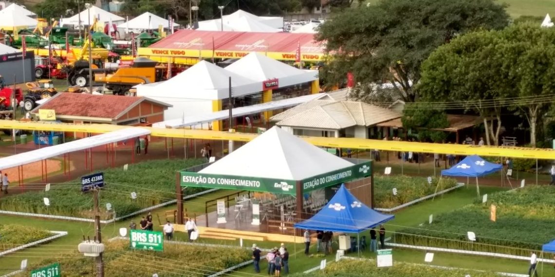 Embrapa presente no Show Rural com tecnologias sobre mandioca