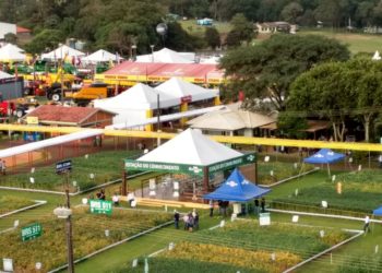 Embrapa presente no Show Rural com tecnologias sobre mandioca