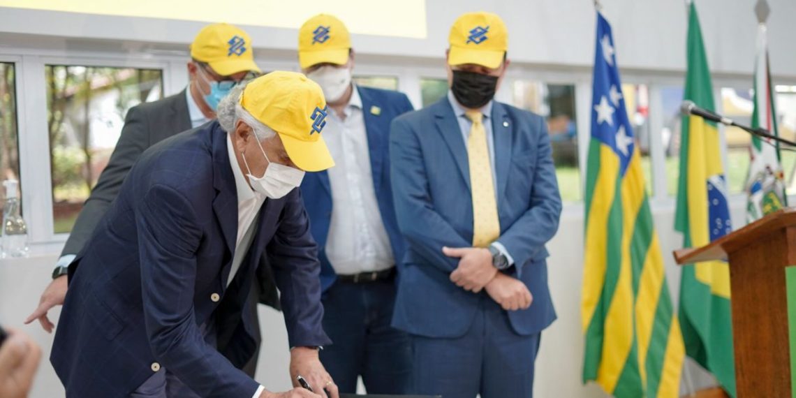 Goiás quer aumentar a produção de mandioca