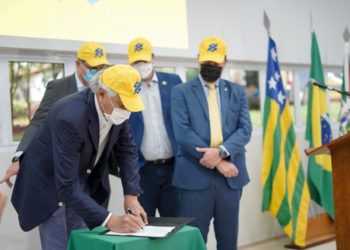 Goiás quer aumentar a produção de mandioca