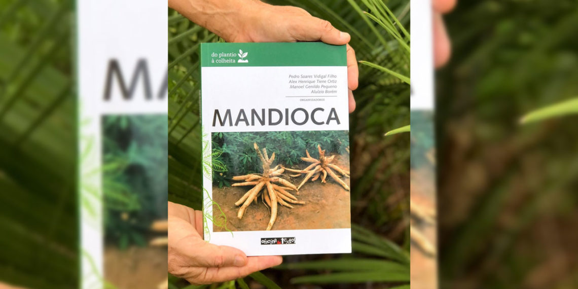 Mandiocultores ainda estão cautelosos com plantio direto, diz pesquisador do IDR