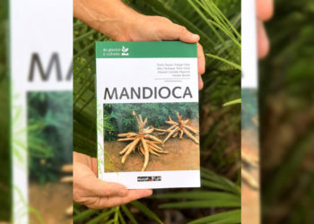 Mandiocultores ainda estão cautelosos com plantio direto, diz pesquisador do IDR
