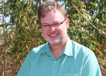 Prevenção da mosca branca começa no controle do mandarová