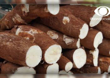 Cosméticos já sentem impacto da alta de preços da mandioca