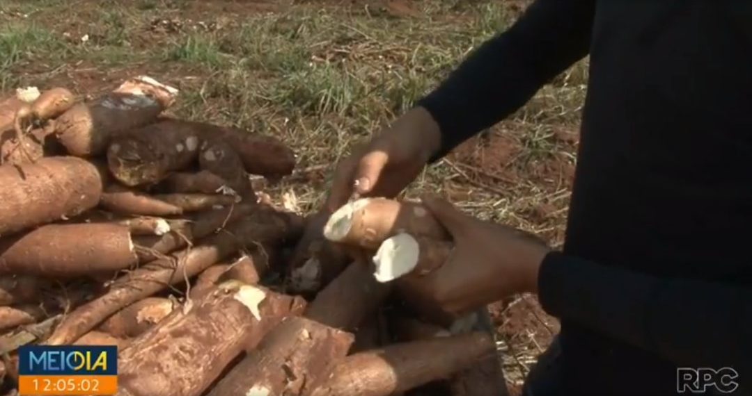 Preços altos não garantem boa remuneração ao produtor