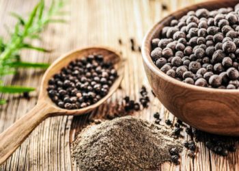 Película de amido de mandioca para proteção de pimenta-do-reino