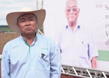 Em Dia de Campo, Copasul leva informação e tecnologia a 650 produtores de mandioca