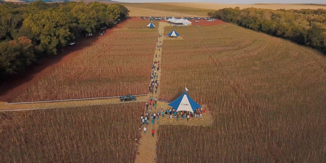ATIMOP e IDR promovem uma tarde de conhecimento
