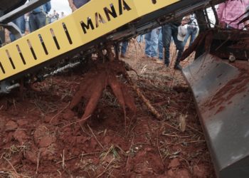 IDR e ATIMOP promovem Dia de Campo da Mandioca nesta quinta