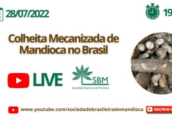 Professores e pesquisadores debatem eficiência da colheitadeira de mandioca