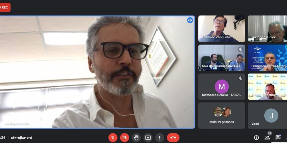 Setor quer desoneração da cadeia de panificação à base de mandioca