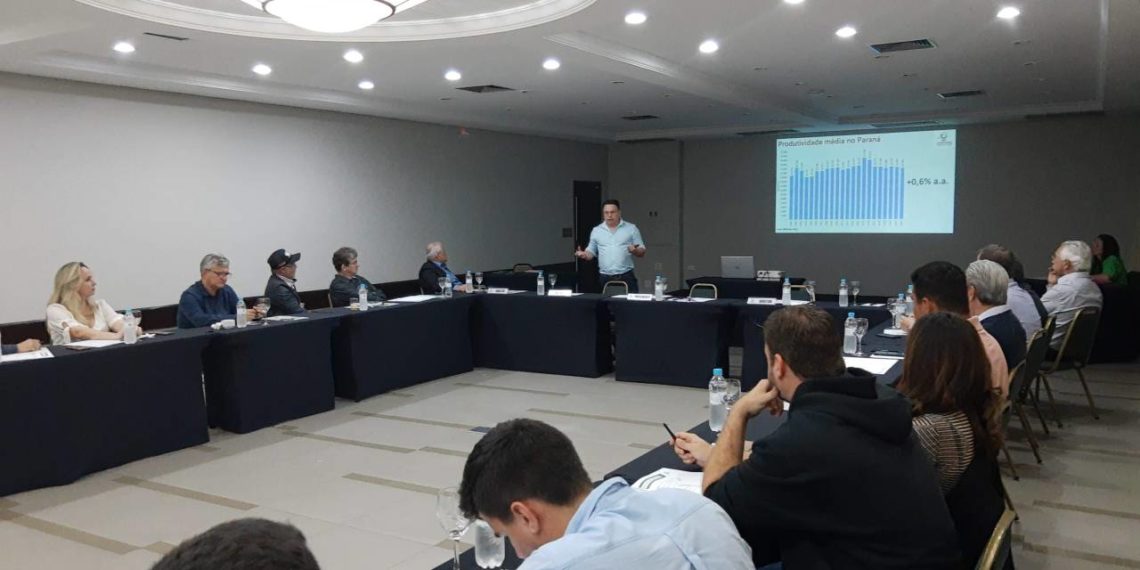 Elevação dos preços da raiz afeta lucratividade das indústrias