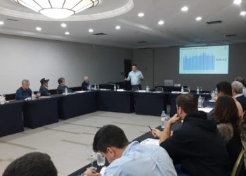 Elevação dos preços da raiz afeta lucratividade das indústrias