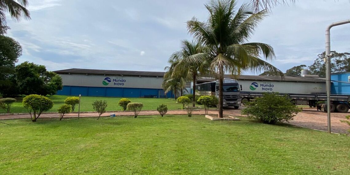 Com 4 fecularias GTFoods se torna uma das maiores processadoras de mandioca