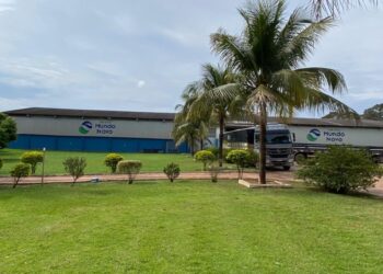 Com 4 fecularias GTFoods se torna uma das maiores processadoras de mandioca