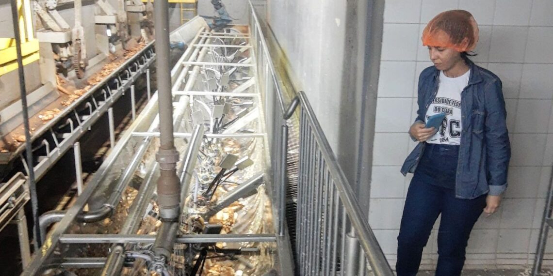 Doutoranda potiguar visita Noroeste do Paraná para conhecer a cadeia produtiva de mandioca