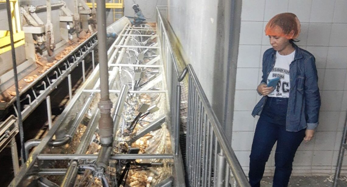 Doutoranda potiguar visita Noroeste do Paraná para conhecer a cadeia produtiva de mandioca