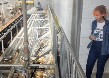 Doutoranda potiguar visita Noroeste do Paraná para conhecer a cadeia produtiva de mandioca