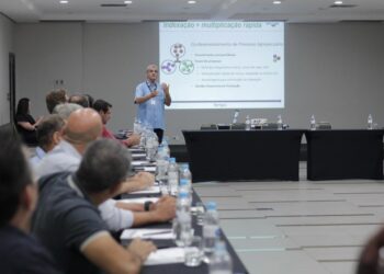 Embrapa apresentará projeto para mandioca editada geneticamente