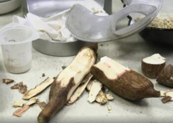 Concreto feito com casca de mandioca