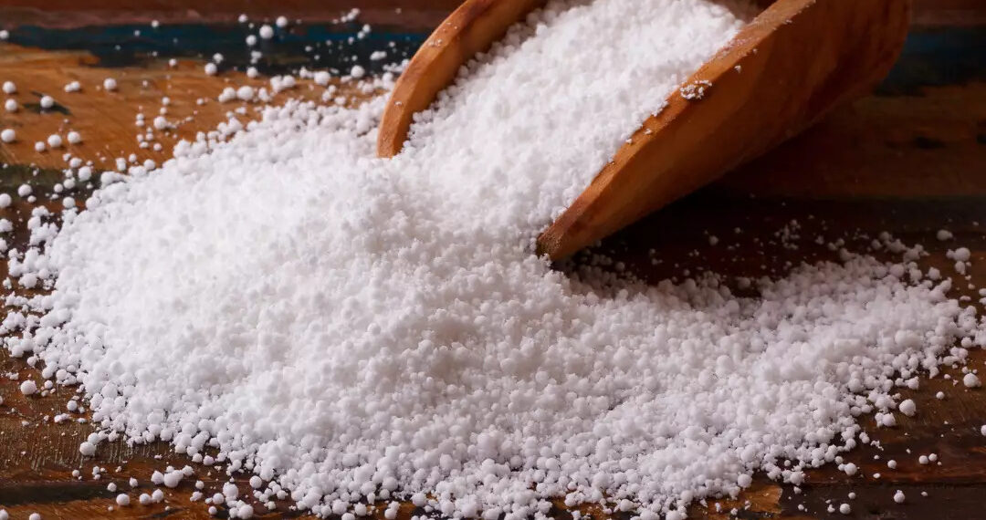 TRF-2 suspende patente para a produção de massa de tapioca