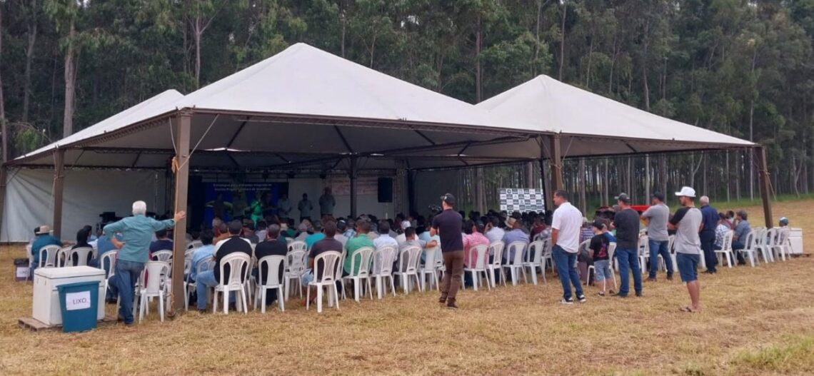 Encontro de mandiocultores em Rondon promove capacitação e valorização da cultura