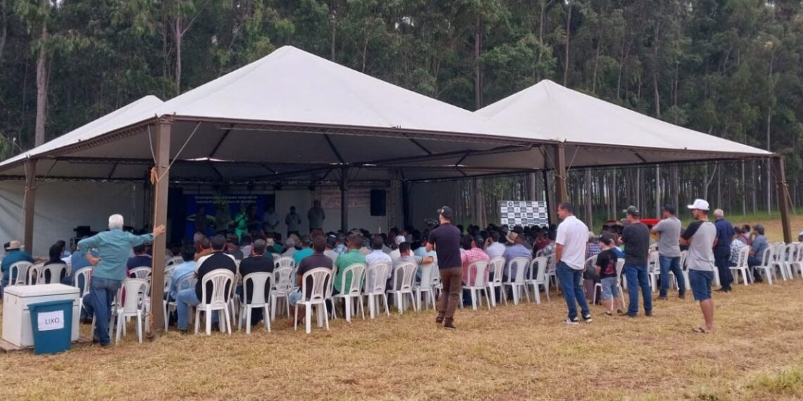 Encontro de mandiocultores em Rondon promove capacitação e valorização da cultura