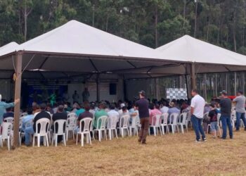 Encontro de mandiocultores em Rondon promove capacitação e valorização da cultura