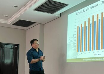 Para fecularias, qualidade é mais importante que preço da mandioca