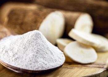 Menores oferta de raiz e rendimento de amido comprometem produção de fécula