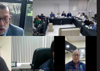 Fecularias: Noroeste pode agregar mais valor à produção de biogás, diz IDR