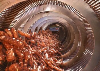 Paraná é o maior produtor de mandioca para fins industriais