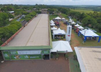 Feira Internacional da Mandioca será em Paranavaí entre 21 e 23.11
