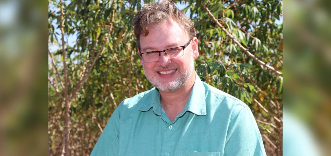 Experimento mostra que variedade Boitatá tem alta produtividade