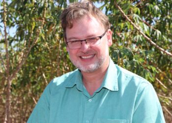 Experimento mostra que variedade Boitatá tem alta produtividade