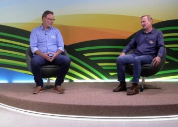 Mandioca: mercado, genética e condições de produção