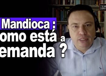 Mandioca : mercado de fécula com demanda aquecida