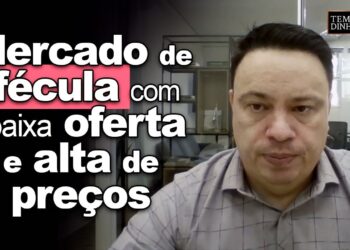 Mandioca: mercado de fécula tem registro de baixa disponibilidade e alta de preços, informa o CEPEA
