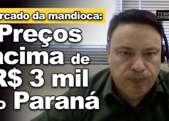 Mercado de Mandioca tem valorização da fécula com preços acima de R$ 3 mil no PR, diz Fábio Felipe